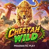 Cheetah Wild Slot bei Yep Casino